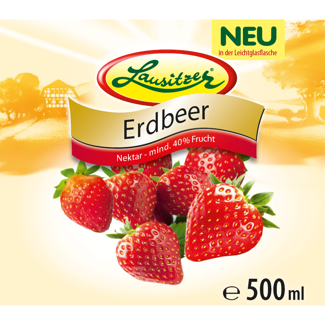 Lausitzer Erdbeer-Nektar 6x500ml