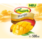 Lausitzer Mango-Nektar 6x500ml